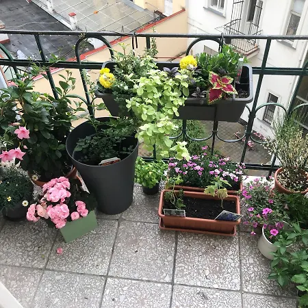 Charming Apt W Balcony Old Town פראג